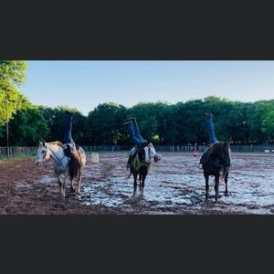 Meet your Posher, Kynli